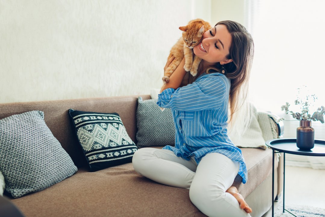 Pet-Friendly Fabric Options in Father Chairs